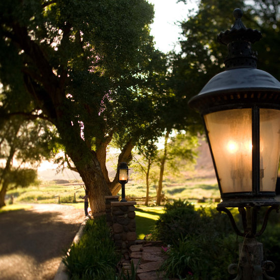 The tree-lined entrance to the Lodge at dusk