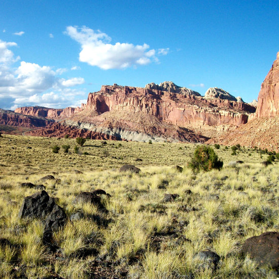 The cliffs of Capitol Reef as seen from the Fremont River Trail