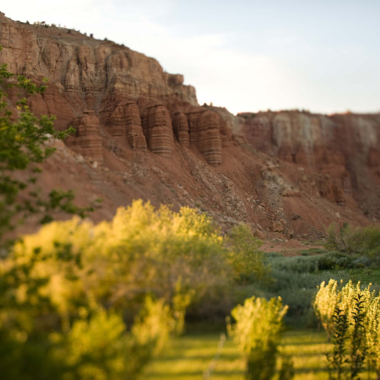 The red cliffs and pasture behind the Lodge