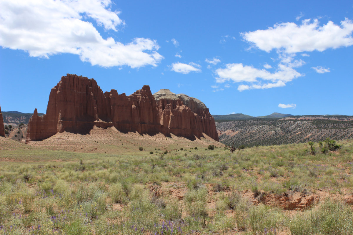 A group of monoliths in Cathedral Valley