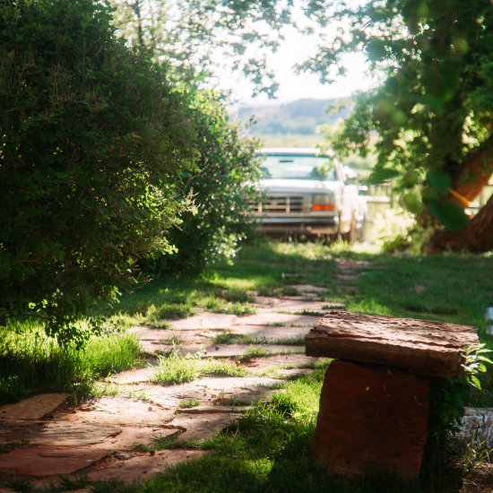 The sandstone stone bench in our garden