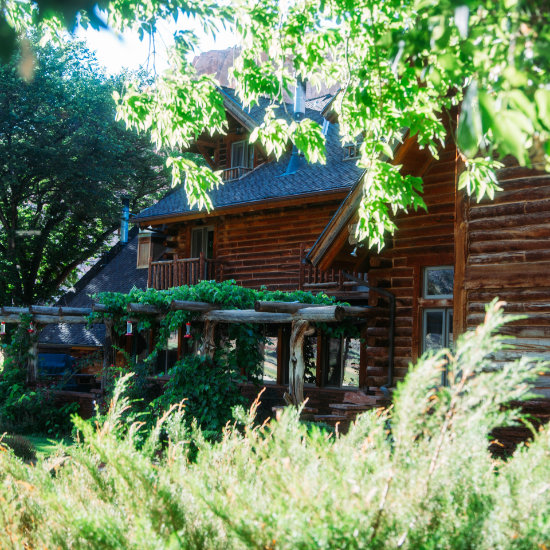 The front of the Lodge seen through foliage