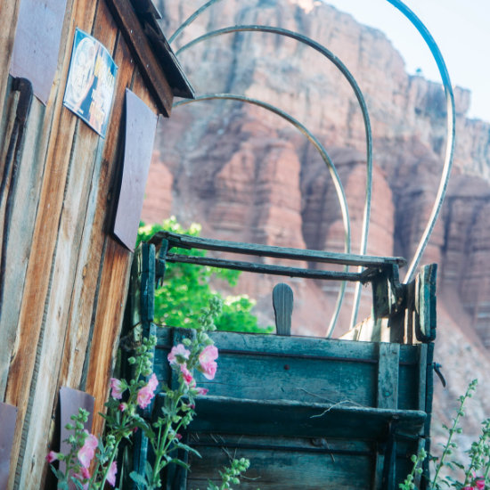 The covered wagon that sits on our property