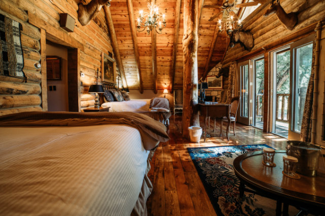 Photo of the Safari guest room