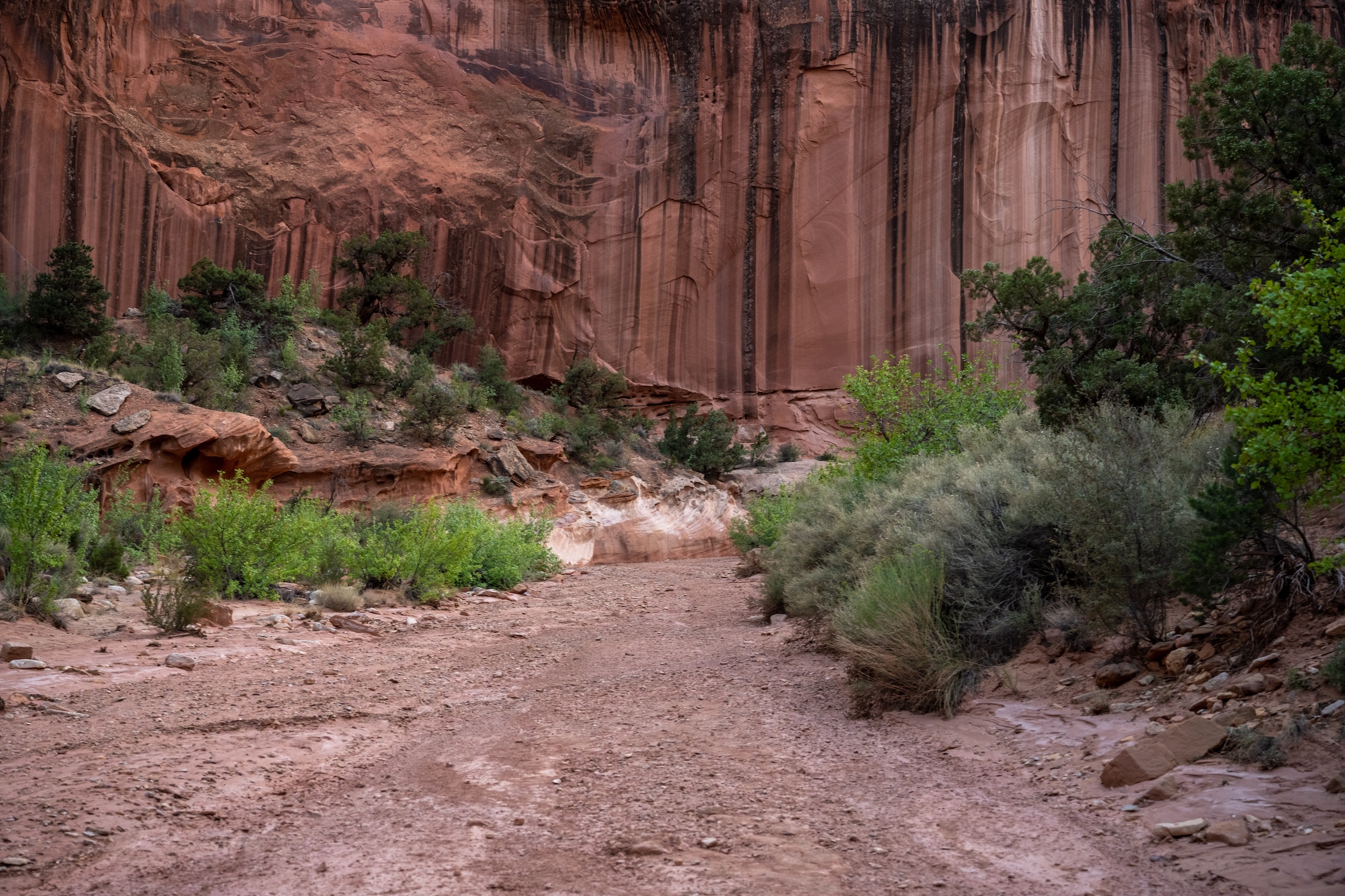 Grand Wash canyon trail in Capitol Reef National Park