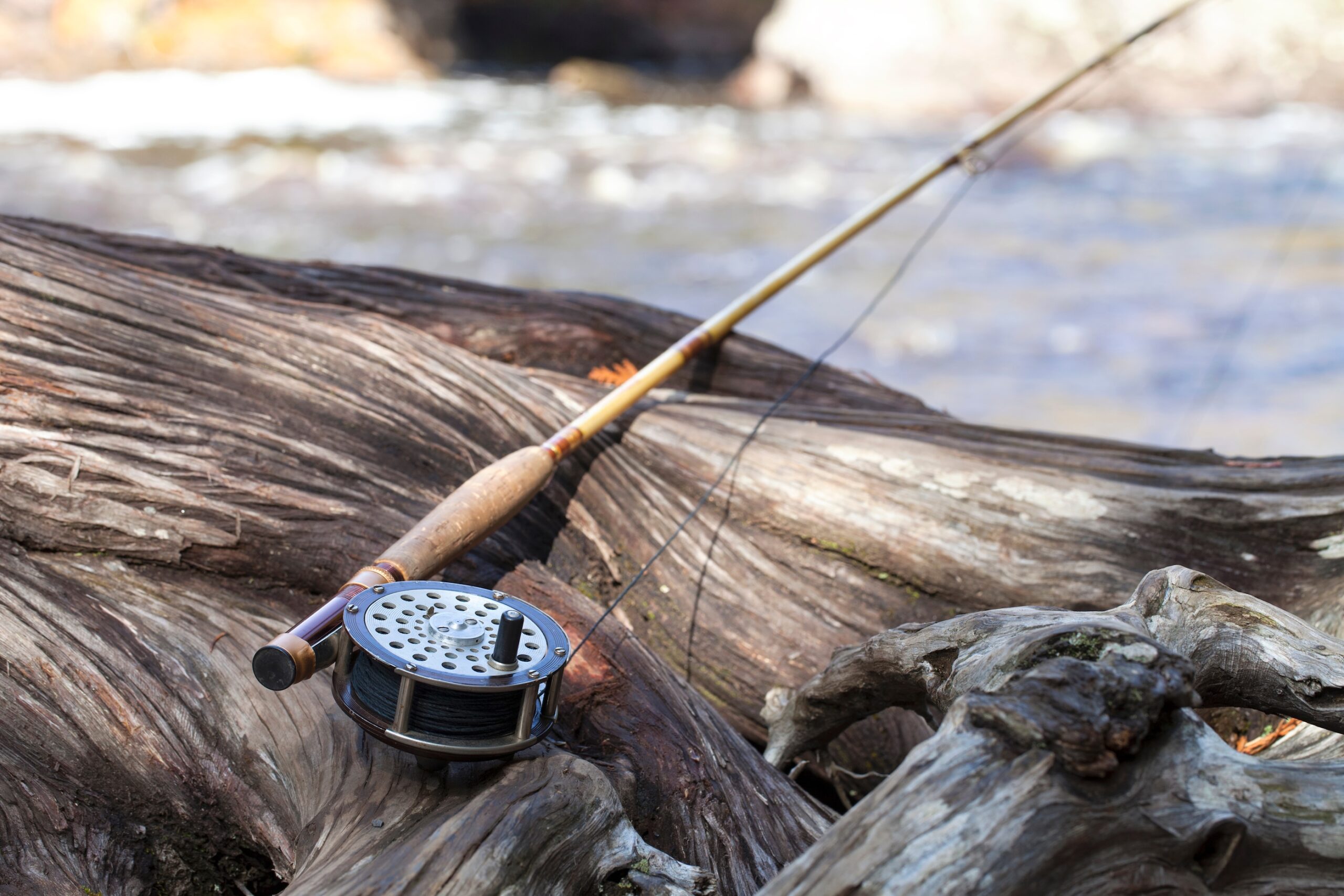Antique fly fishing rod on an old log