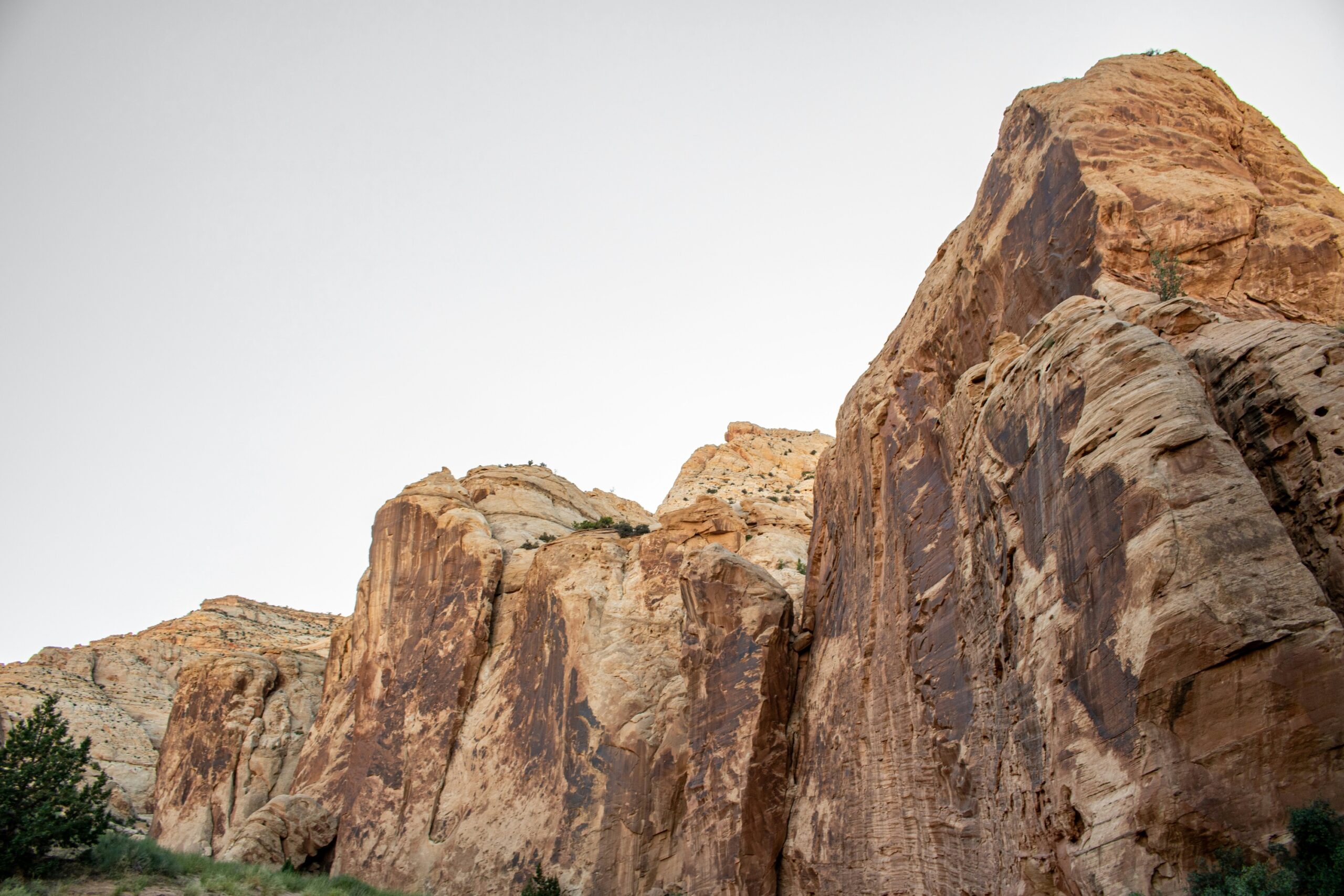 Narrow canyon walls of Grand Wash in Capitol Reef National Park