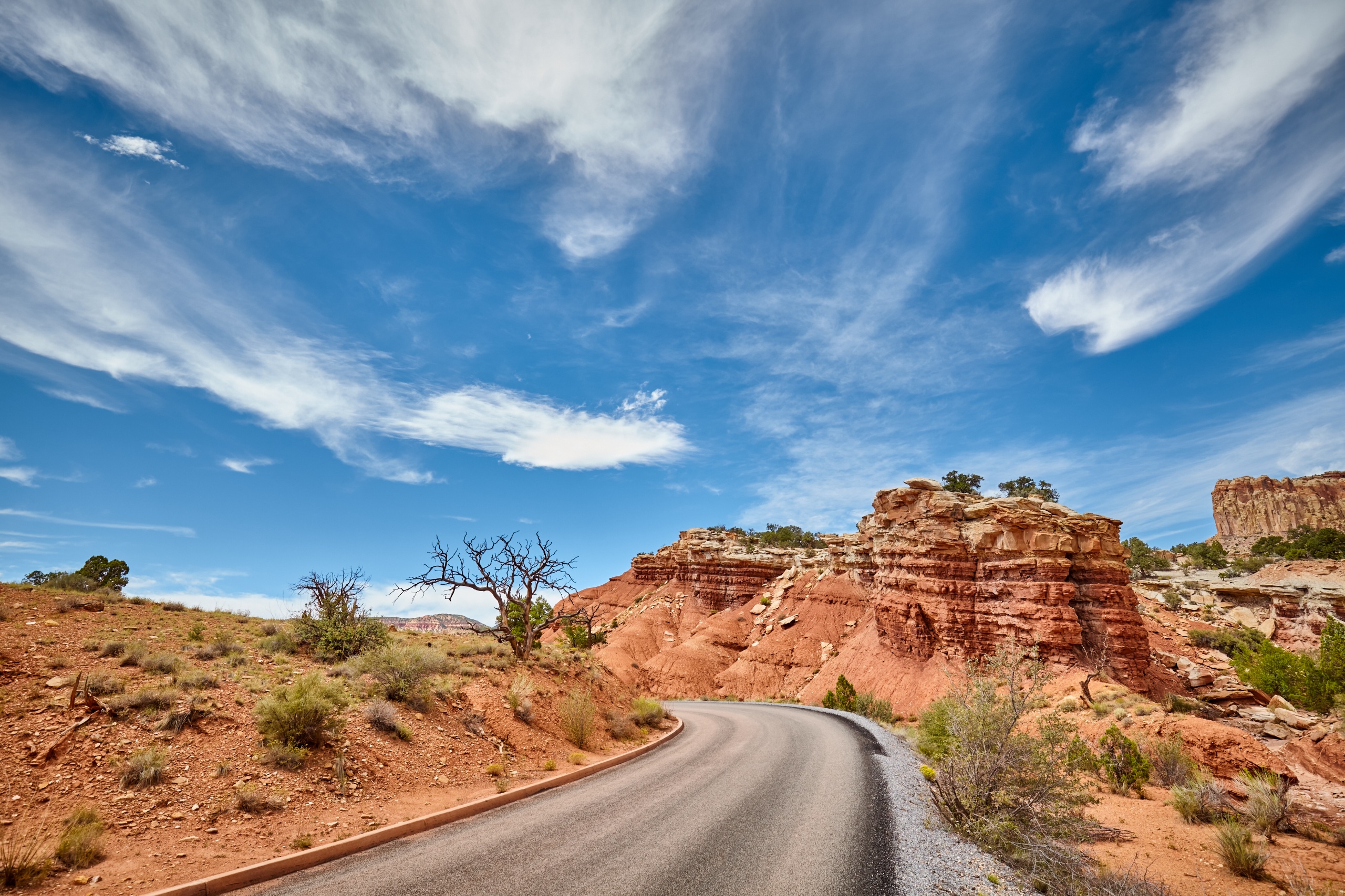 The Scenic Drive in Capitol Reef National Park running beneath red sandstone cliffs
