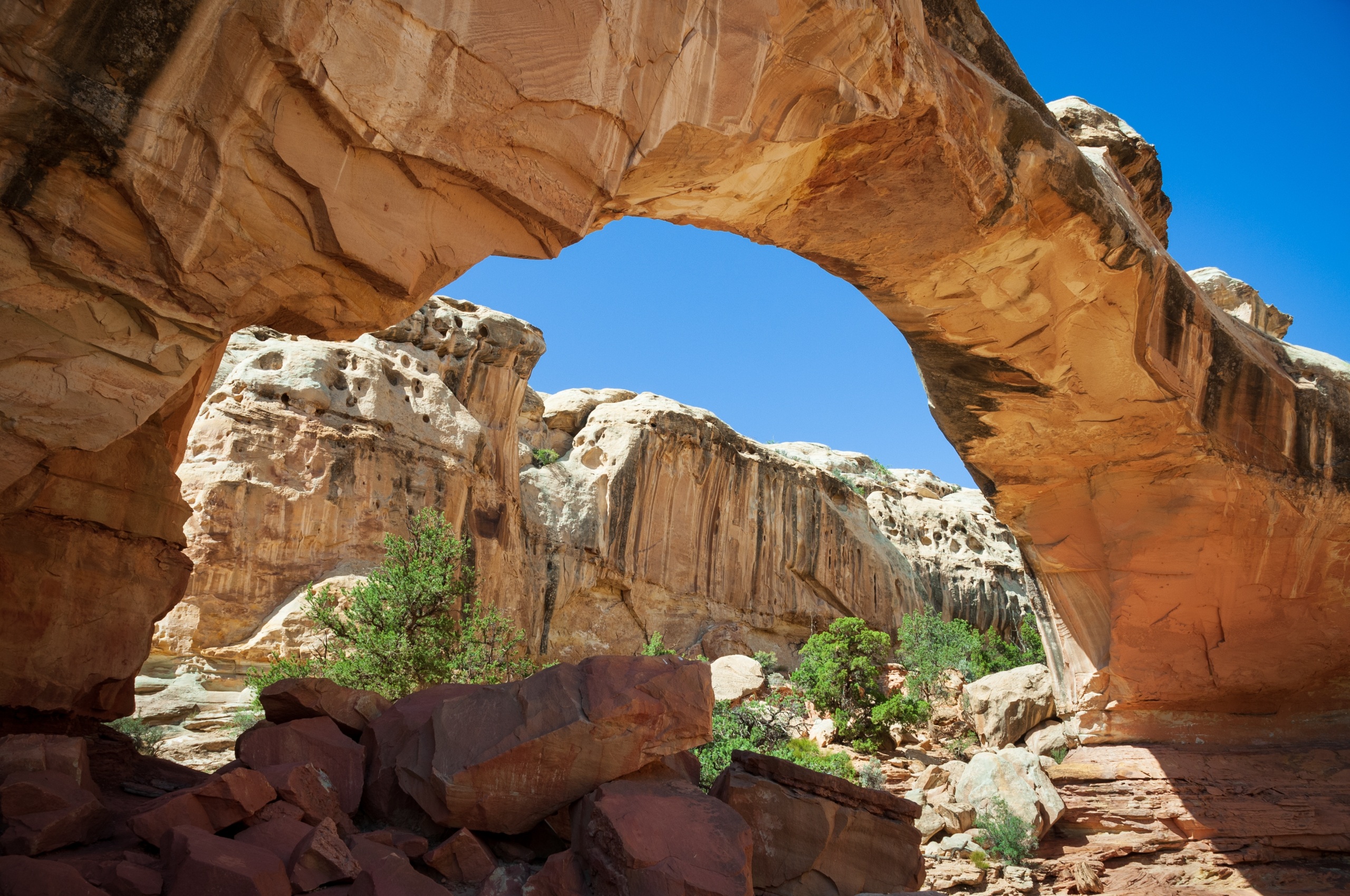 Red sandstone cliffs and trail country near Hickman Bridge in Capitol Reef National Park