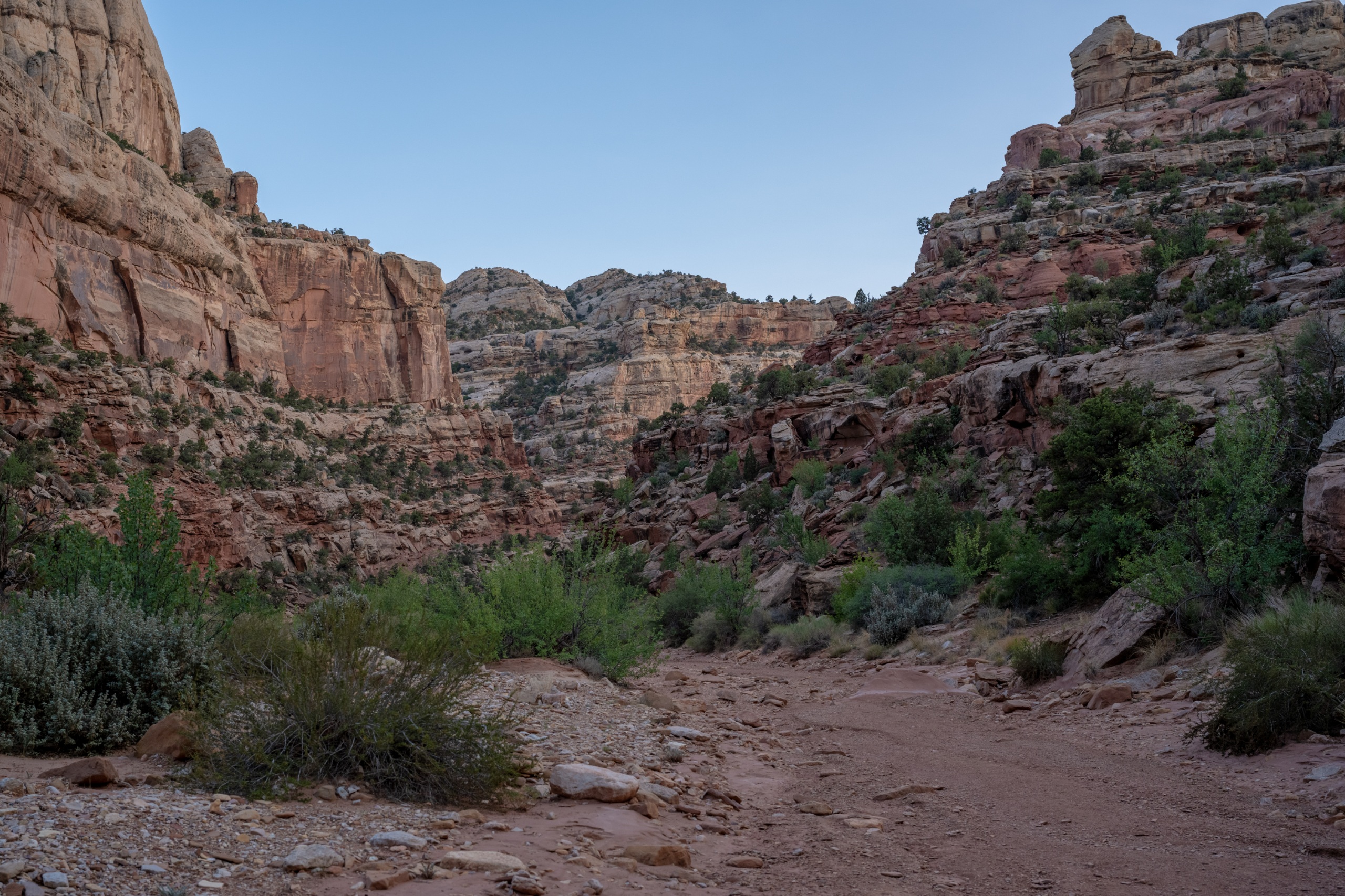 A sandy canyon wash trail between red sandstone walls in Capitol Reef country
