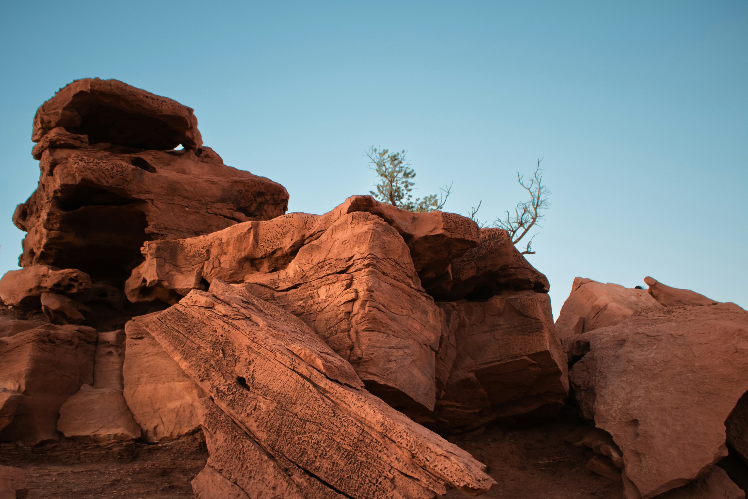 Late light on red rock cliffs and desert country in Capitol Reef