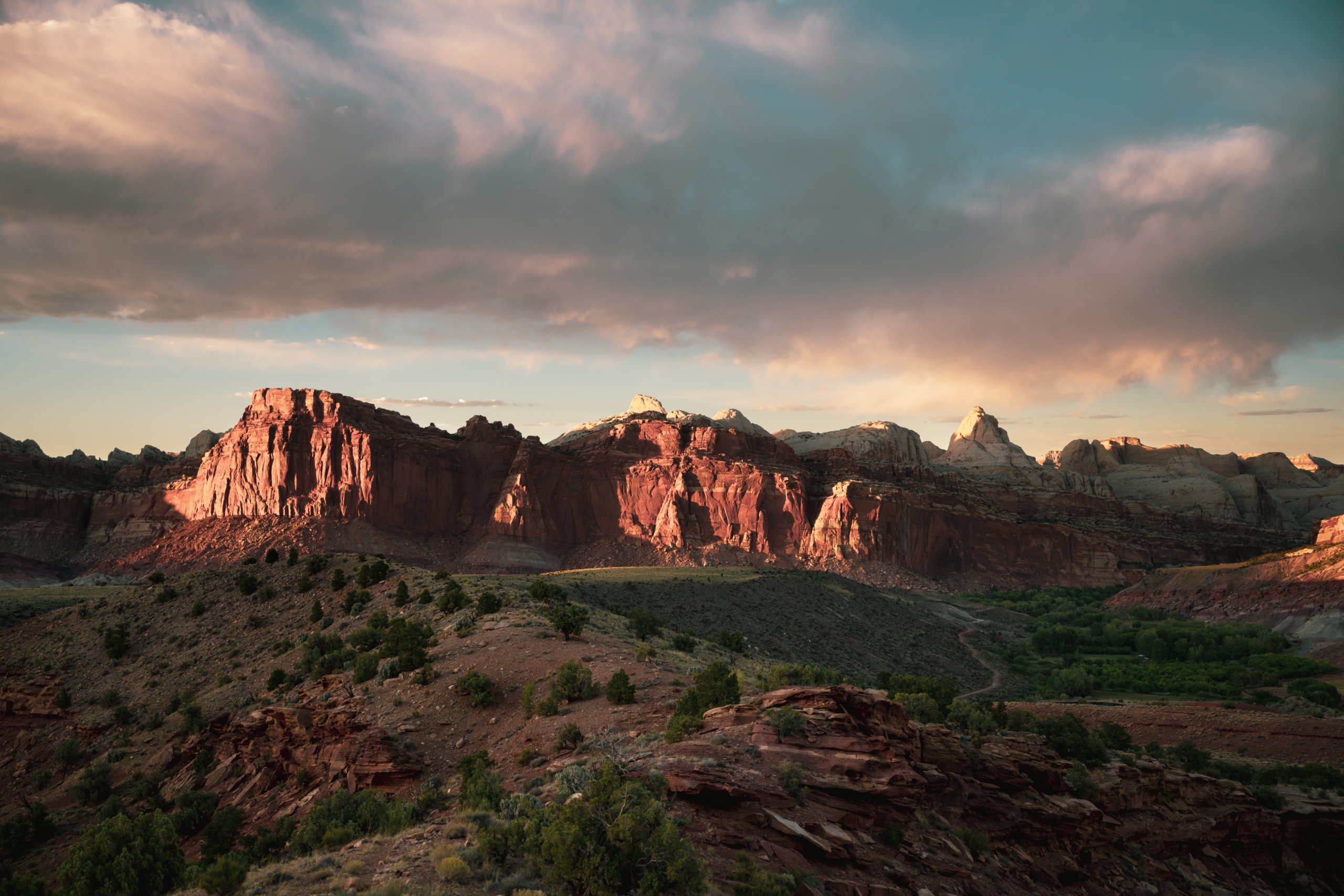 Red rock cliffs beside the Scenic Drive in Capitol Reef National Park