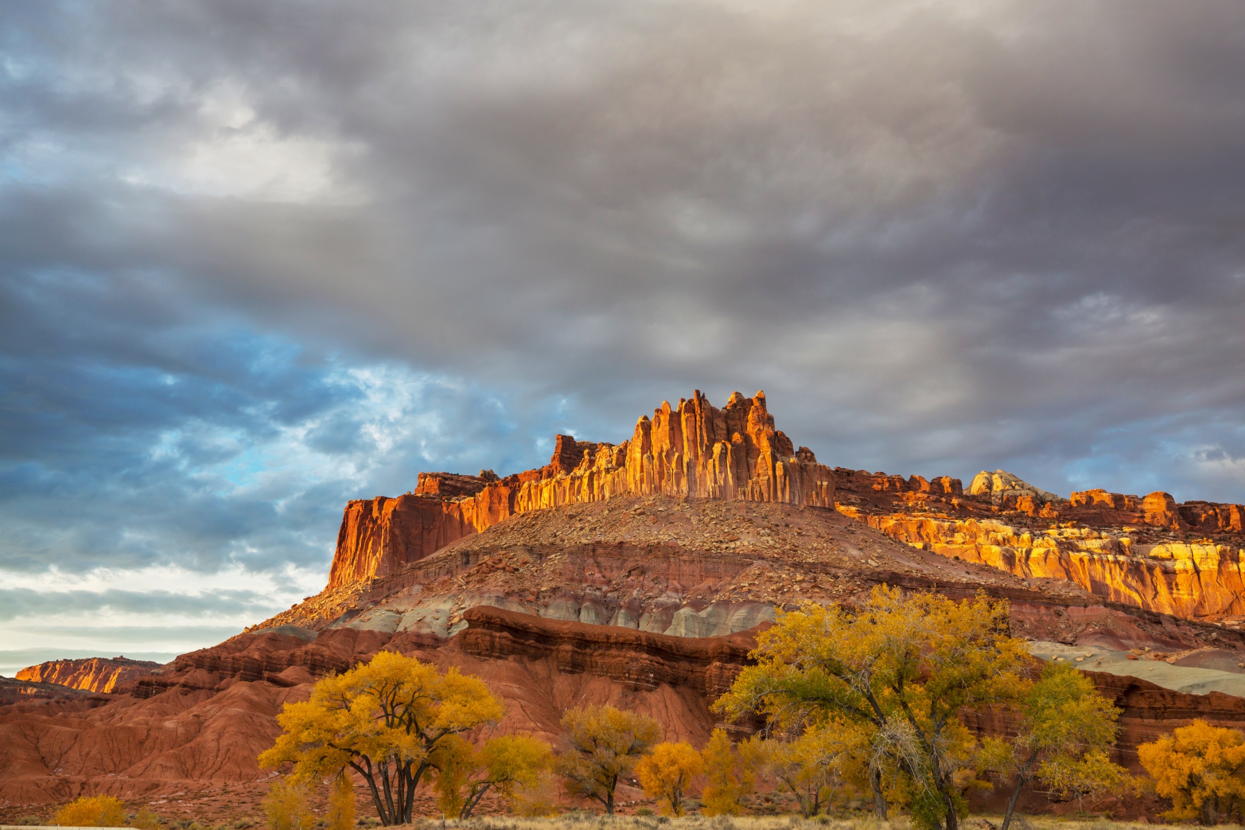 Cottonwoods and red rock cliffs in the Fruita Historic District of Capitol Reef National Park